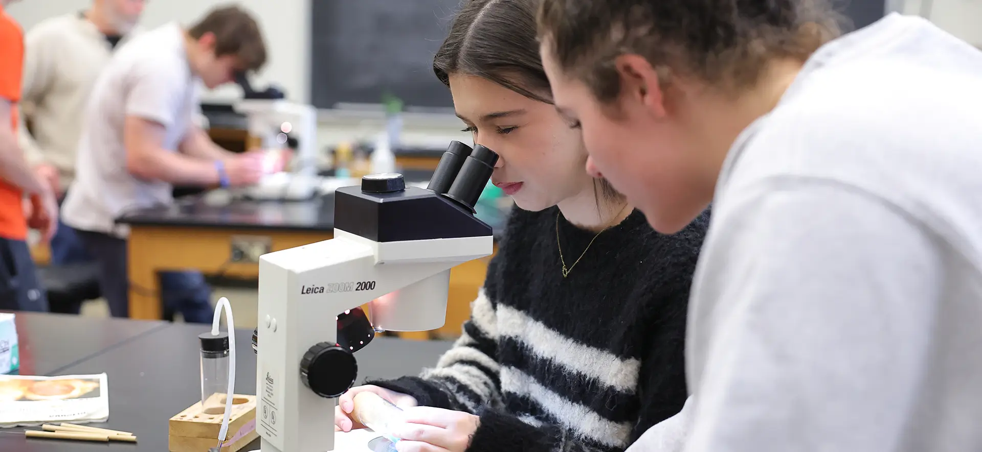 Students looking into a microscope in a genetics lab course