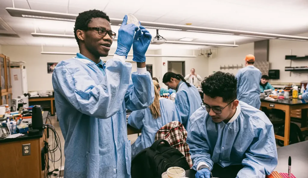 Students working in a microbiology lab